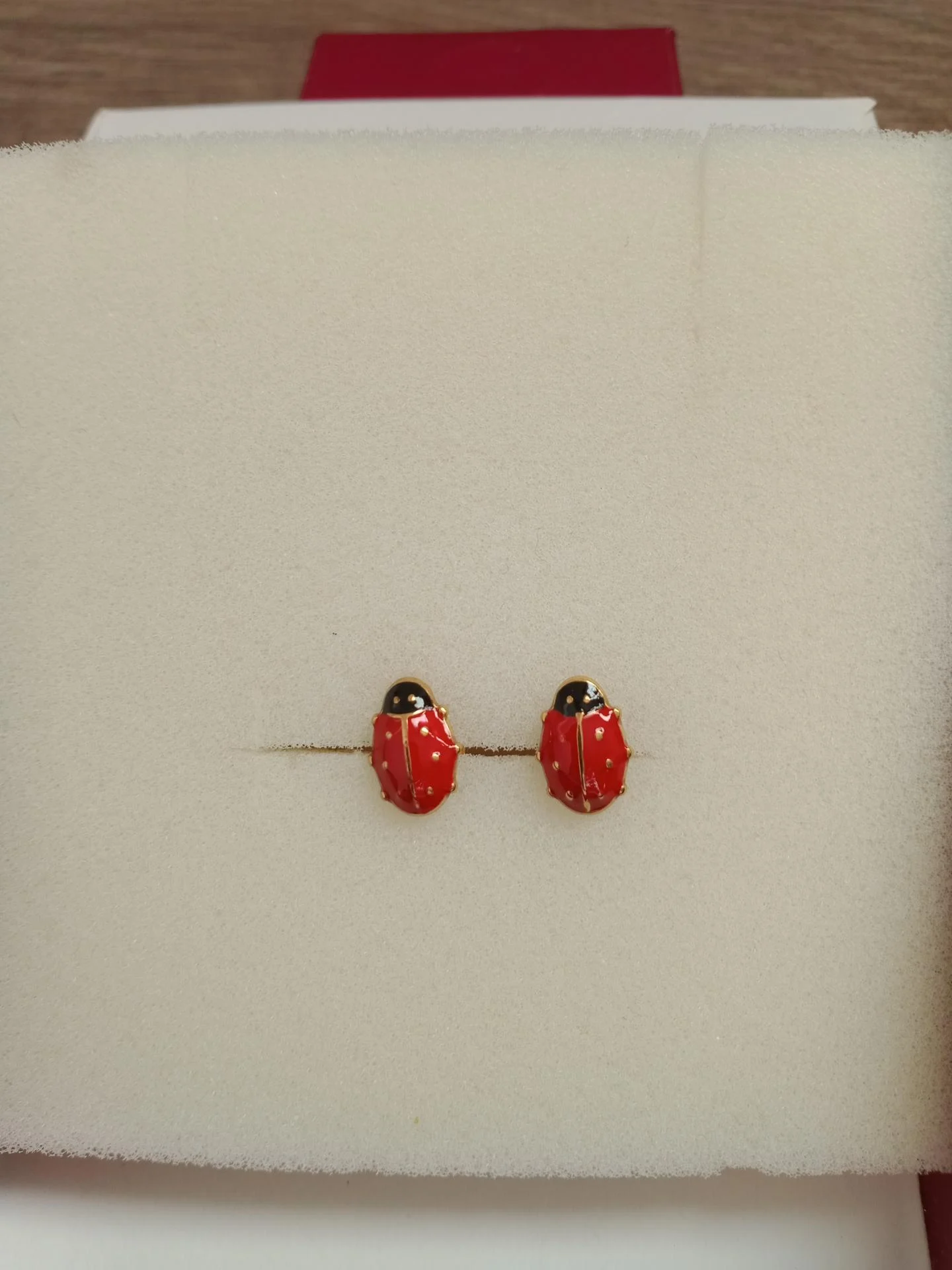 Boucles coccinelles en acier inoxydable